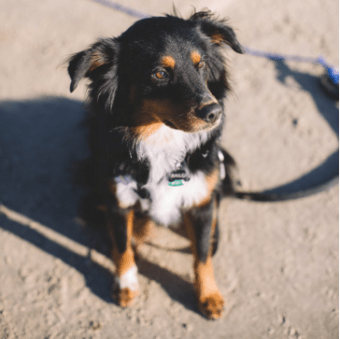 Screen Shot 2016-01-25 at 1.02.46 AM